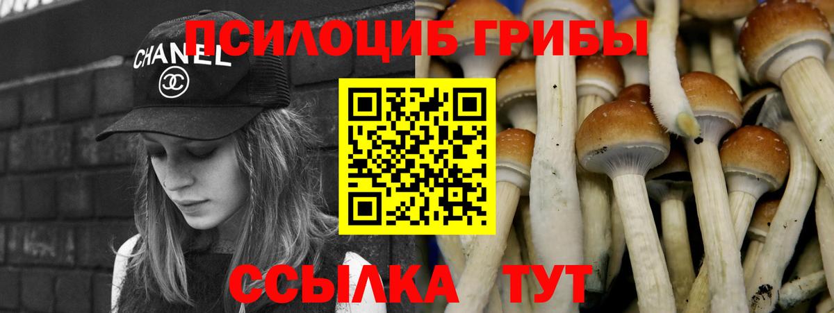 Галлюциногенные грибы мицелий  Вход с VPN  Кудрово 